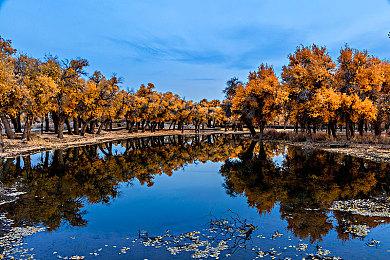 英国监管机构将在3月1日前宣布微软收购是否合规